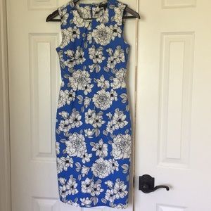 Banana Republic Blue Flower Dress